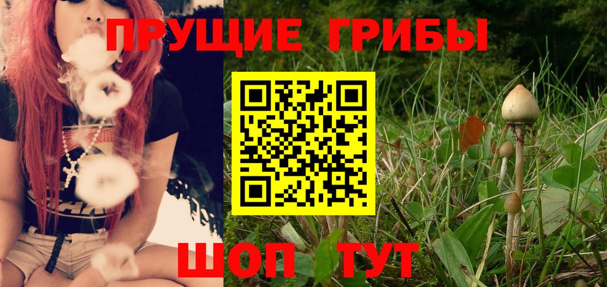 Галлюциногенные грибы GOLDEN TEACHER Можга