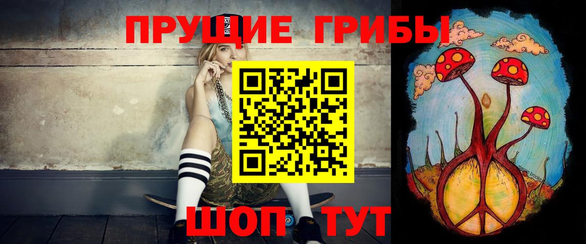 Можга  Галлюциногенные грибы GOLDEN TEACHER  как найти наркотики  Вход с VPN 