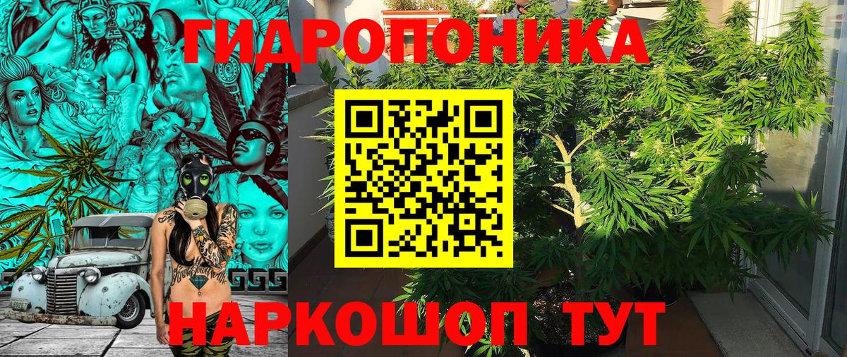 Шишки марихуана Bruce Banner  Вход с VPN  Можга  Бошки марихуана сатива  Бошки марихуана гибрид 